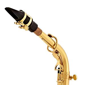 Yanagisawa Alto Saxophone, Professional Model A-WO10