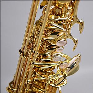 Yanagisawa Alto Saxophone, Professional Model A-WO10