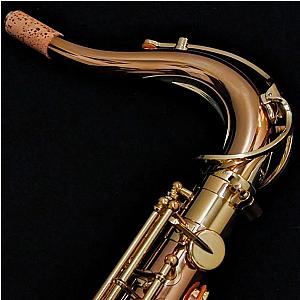 Yanagisawa Tenor Saxophone, Professional Model T-WO2