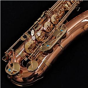 Yanagisawa Tenor Saxophone, Professional Model T-WO2
