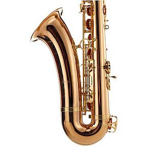 Yanagisawa Tenor Saxophone, Professional Model T-WO2