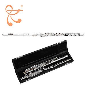 Di Zhao Flute, Intermediate Model DZ601 BEF