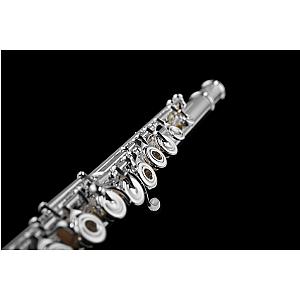 Di Zhao Flute, Intermediate Model DZ601 BEF