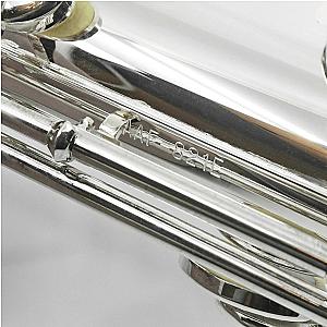 Altus Alto Flute, Professional Model 817SE