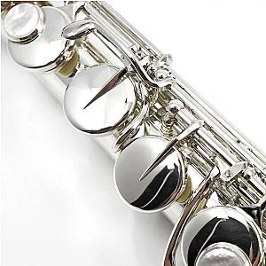 Altus Alto Flute, Professional Model 817SE