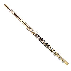 Trevor James Alto Flute 33233CD