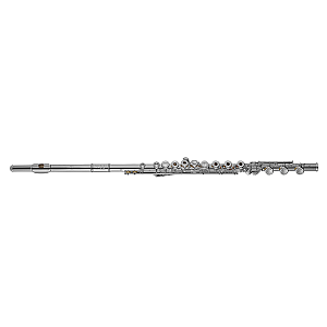 Di Zhao Flute, Professional Model DZ701 BEF