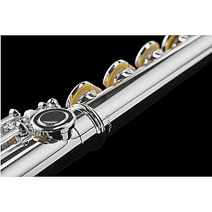 Di Zhao Flute, Professional Model DZ701 BEF