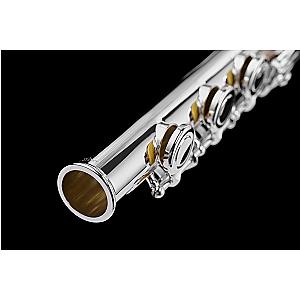 Di Zhao Flute, Professional Model DZ701 BEF