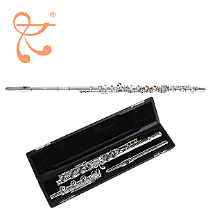 Di Zhao Flute, Professional Model DZ801 BEF