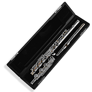 Di Zhao Flute, Professional Model DZ801 BEF