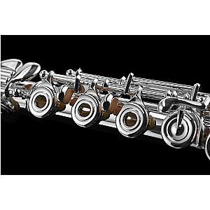 Di Zhao Flute, Professional Model DZ801 BEF