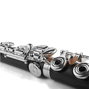 Di Zhao Wooden Flutes, Professional Model DZW-B BEF