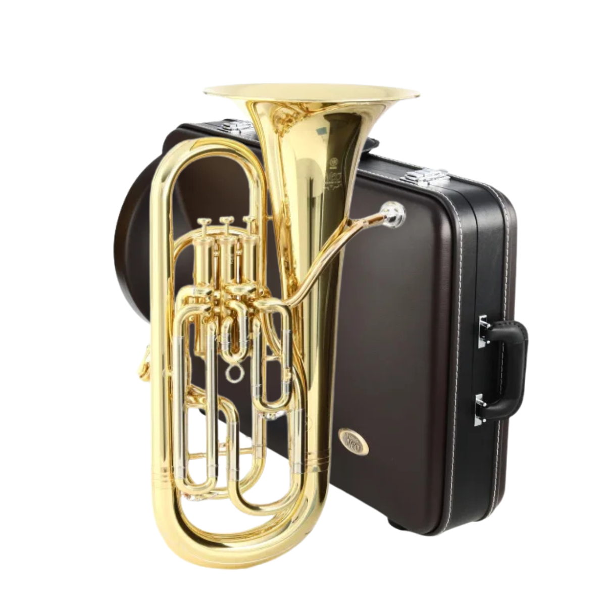Yamaha Bb Euphonium, Neo Professional Model YEP-621II