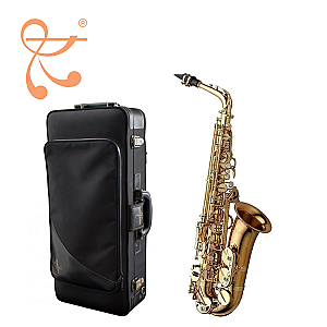 Yanagisawa Alto Saxophone, Professional Model A-WO2