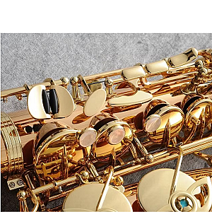 Yanagisawa Alto Saxophone, Professional Model A-WO2