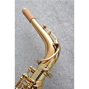 Yanagisawa Alto Saxophone, Professional Model A-WO2