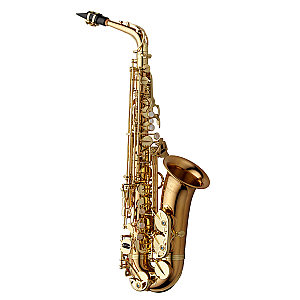 Yanagisawa Alto Saxophone, Professional Model A-WO2