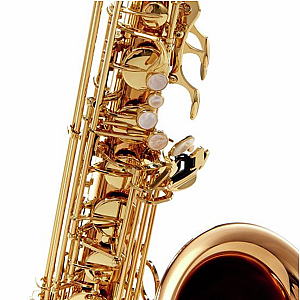 Yanagisawa Tenor Saxophone, Professional Model T-WO20