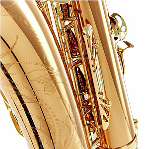 Yanagisawa Tenor Saxophone, Professional Model T-WO20