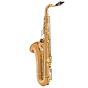 Yanagisawa Tenor Saxophone, Professional Model T-WO20