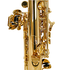 Yanagisawa Soprano Saxophone, Professional Model S-WO10