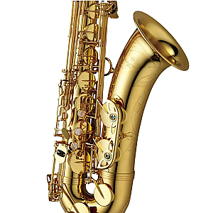 Yanagisawa Tenor Saxophone, Professional Model T-WO1