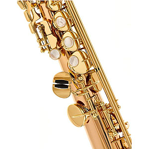 Yanagisawa Soprano Saxophone, Professional Model S-WO20