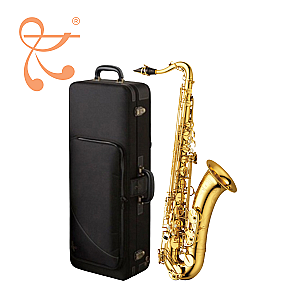 Yanagisawa Tenor Saxophone, Professional Model T-WO10