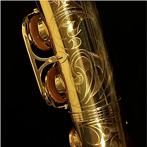 Yanagisawa Tenor Saxophone, Professional Model T-WO10