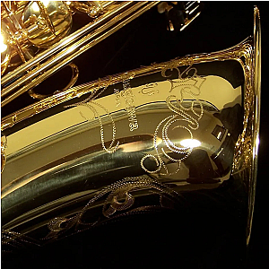 Yanagisawa Tenor Saxophone, Professional Model T-WO10