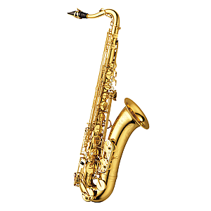 Yanagisawa Tenor Saxophone, Professional Model T-WO10