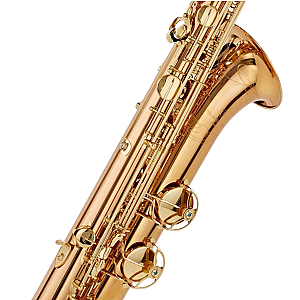 Yanagisawa Baritone Saxophone, Professional Model B-WO2