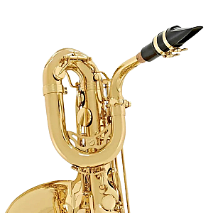 Yanagisawa Baritone Saxophone, Professional Model B-WO10