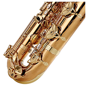 Yanagisawa Baritone Saxophone, Professional Model B-WO20