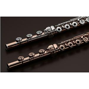 Muramatsu Flute, Professional Model 14K Gold