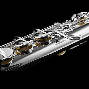 Di Zhao Alto Flute, Intermediate Model DZA-100S