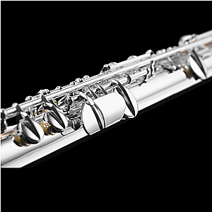Di Zhao Alto Flute, Intermediate Model DZA-100S