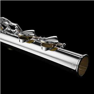 Di Zhao Alto Flute, Semi-Professional Model DZA-200