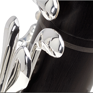Buffet Crampon Bb Clarinet, Professional Model Divine