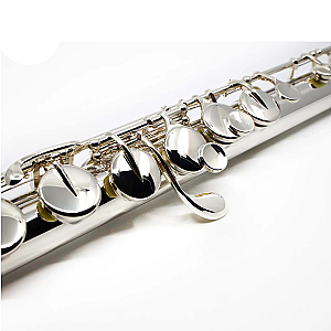 Sankyo Alto Flute, Professional Model AF301