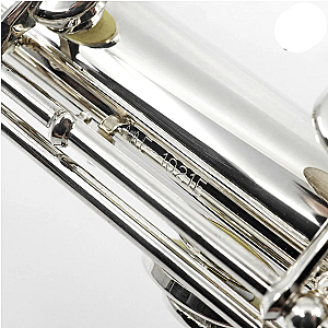 Altus Alto Flute, Professional Model 1017SE