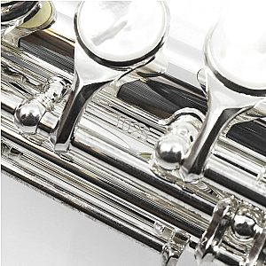 Altus Alto Flute, Professional Model 1017SE