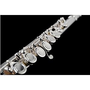 Di Zhao Flute, Student Model DZ100
