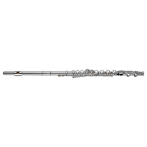 Di Zhao Flute, Student Model DZ301 CEA
