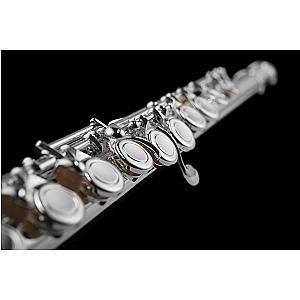 Di Zhao Flute, Student Model DZ301 CEA