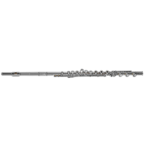 Di Zhao Flute, Student Model DZ401 BEF