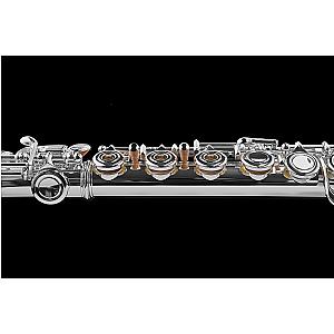 Di Zhao Flute, Student Model DZ401 BEF