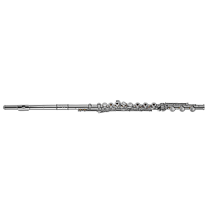 Di Zhao Flute, Intermediate Model DZ501 BEF
