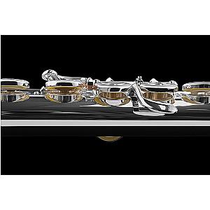 Di Zhao Flute, Intermediate Model DZ501 BEF